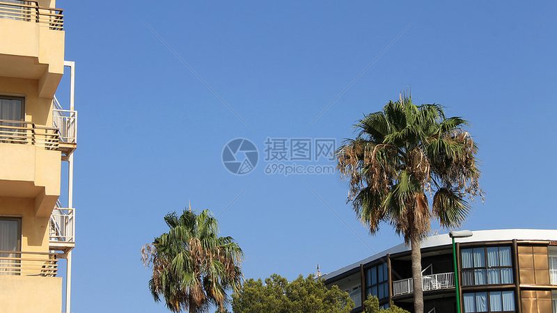 目前，旅游保险主要分为以下几类：